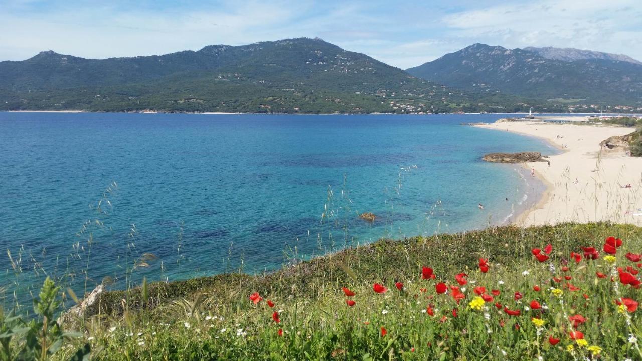Studio T1 Bis Vue Mer Propriano بروبرِيانّو المظهر الخارجي الصورة